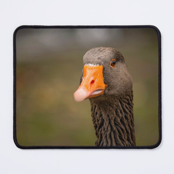 Item preview, Goose posters art prints t-shirts phone cases mugs etc designed and sold by craigewmcg123.