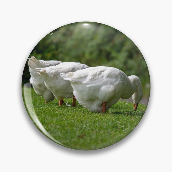 Item preview, Geese posters art prints t-shirts phone cases mugs etc designed and sold by craigewmcg123.