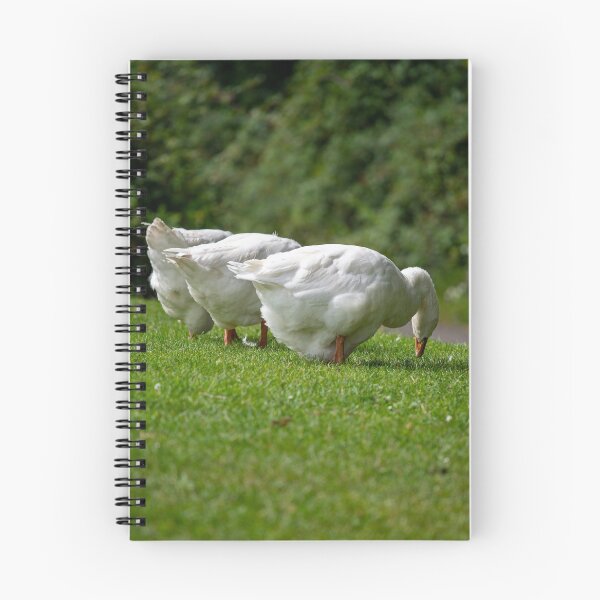 Item preview, Geese posters art prints t-shirts phone cases mugs etc designed and sold by craigewmcg123.