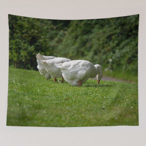 Item preview, Geese posters art prints t-shirts phone cases mugs etc designed and sold by craigewmcg123.