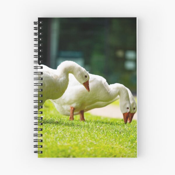 Item preview, Geese posters art prints t-shirts phone cases mugs etc designed and sold by craigewmcg123.