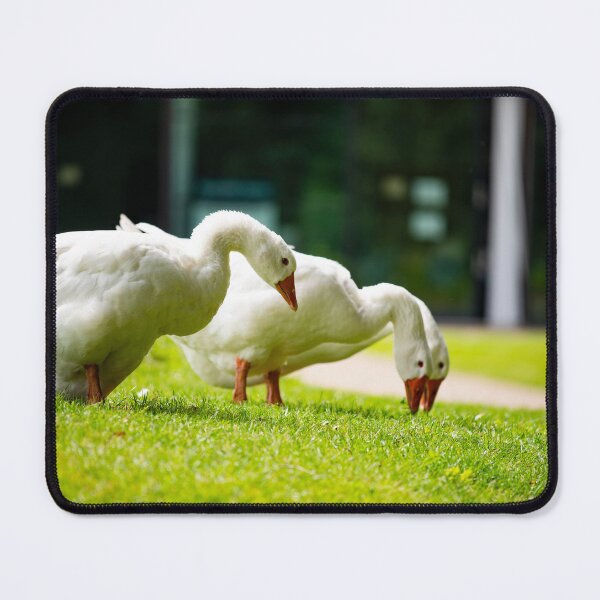 Item preview, Geese posters art prints t-shirts phone cases mugs etc designed and sold by craigewmcg123.