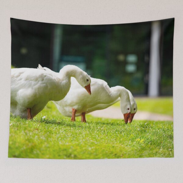 Item preview, Geese posters art prints t-shirts phone cases mugs etc designed and sold by craigewmcg123.