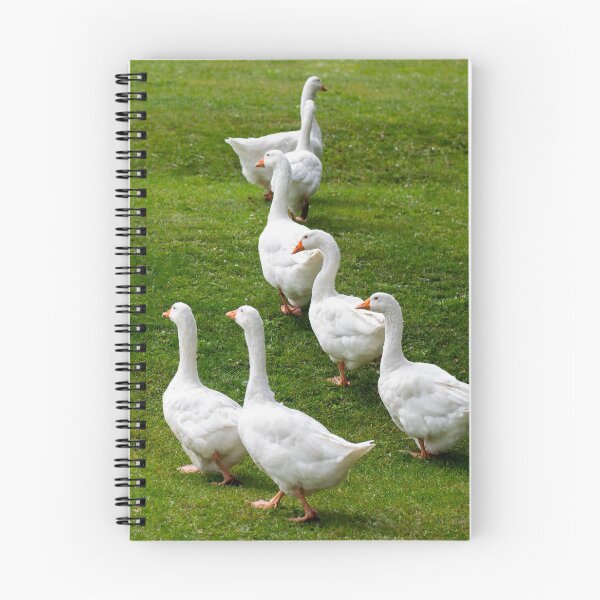 Item preview, Geese posters art prints t-shirts phone cases mugs etc designed and sold by craigewmcg123.