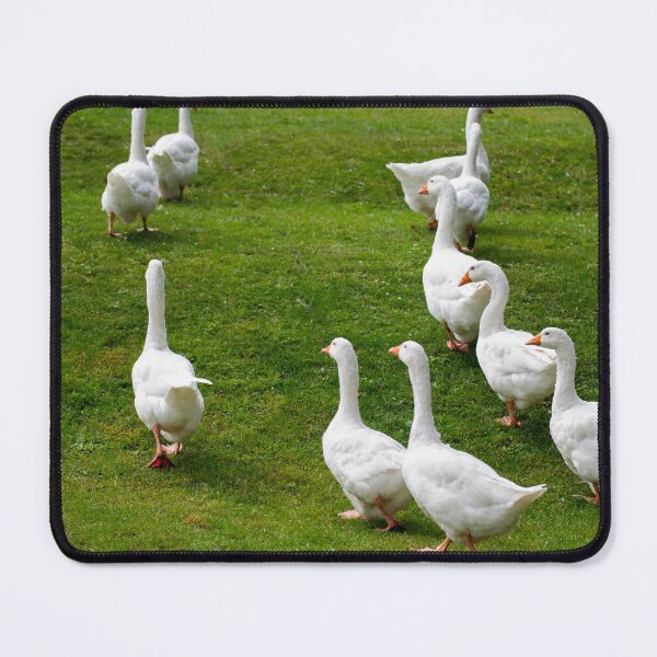 Item preview, Geese posters art prints t-shirts phone cases mugs etc designed and sold by craigewmcg123.