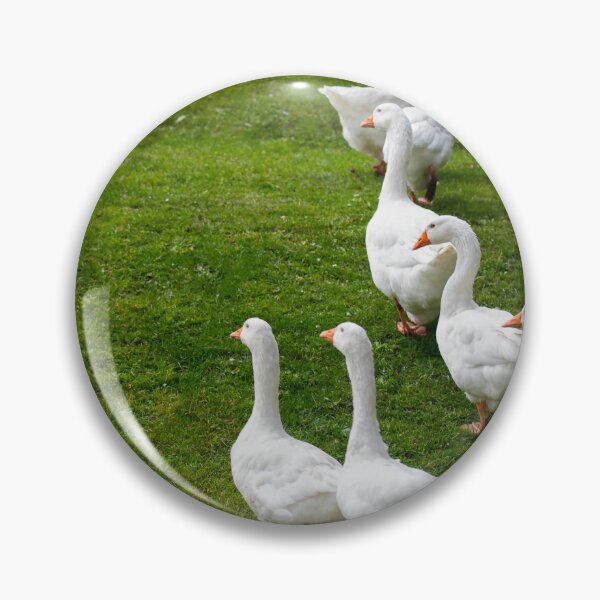 Item preview, Geese posters art prints t-shirts phone cases mugs etc designed and sold by craigewmcg123.
