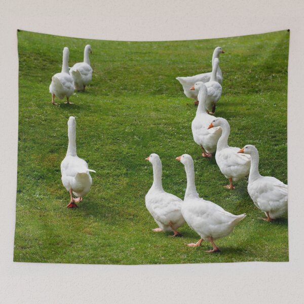 Item preview, Geese posters art prints t-shirts phone cases mugs etc designed and sold by craigewmcg123.