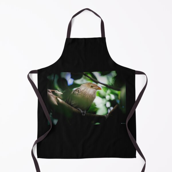 Item preview, The guira cantara designed and sold by Gaël FONTAINE.