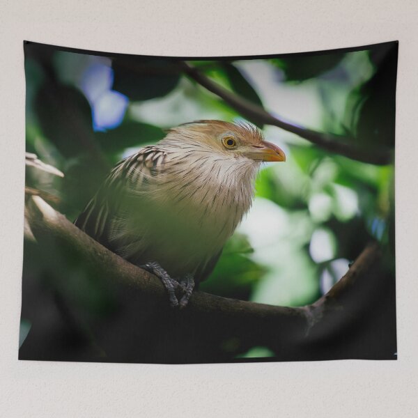 Item preview, The guira cantara designed and sold by Gaël FONTAINE.