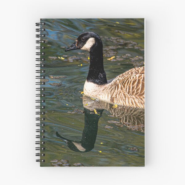 Item preview, Canada Goose posters art prints t-shirts phone cases mugs etc designed and sold by craigewmcg123.