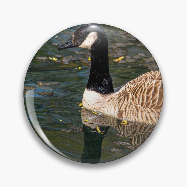 Item preview, Canada Goose posters art prints t-shirts phone cases mugs etc designed and sold by craigewmcg123.