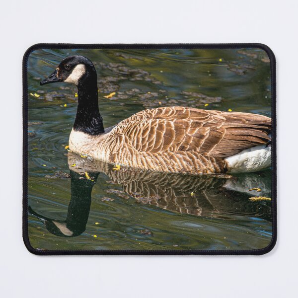 Item preview, Canada Goose posters art prints t-shirts phone cases mugs etc designed and sold by craigewmcg123.