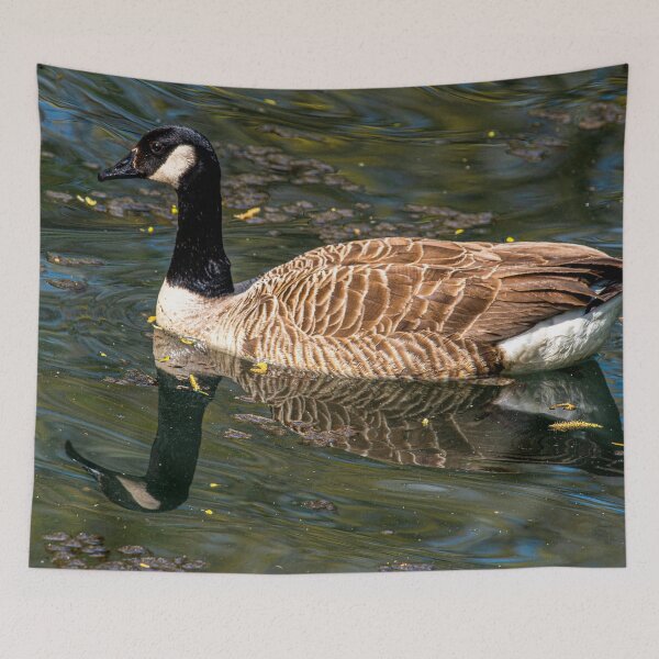 Item preview, Canada Goose posters art prints t-shirts phone cases mugs etc designed and sold by craigewmcg123.