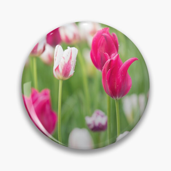 Artikelvorschau, Tulpen entworfen und verkauft von Lrenz.