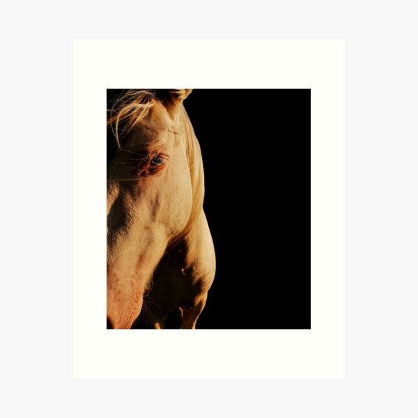Item preview, Horse Head designed and sold by Art & Coffee.