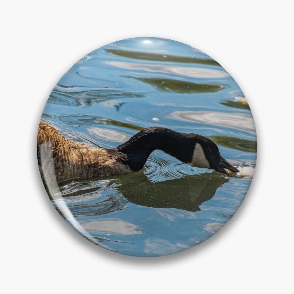 Item preview, Canada Goose posters art prints t-shirts phone cases mugs etc designed and sold by craigewmcg123.
