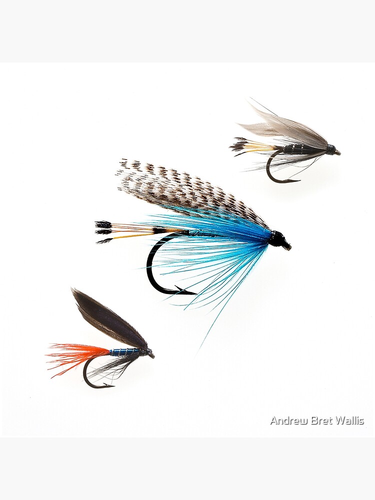 Fishing Lures Art Board Print for Sale by Andrew Bret Wallis