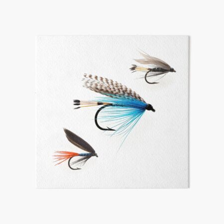Fly Fishing Flies Fisherman Gift  Art Board Print for Sale by
