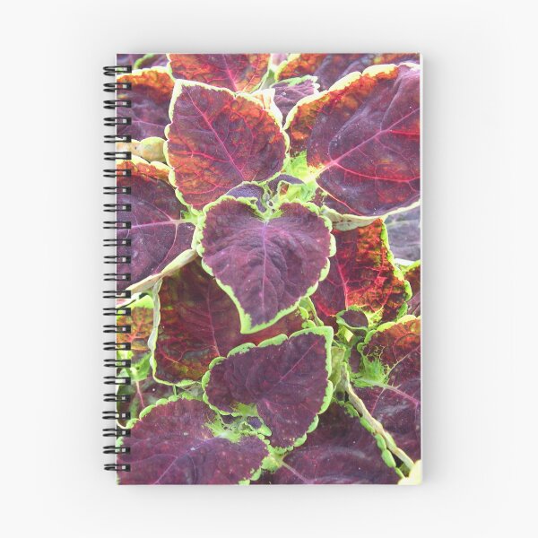 Item preview, Coleus Dipped In Wine Pretty Flowers designed and sold by cascadecuts.