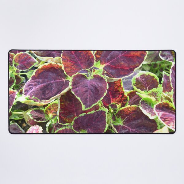 Item preview, Coleus Dipped In Wine Pretty Flowers designed and sold by cascadecuts.
