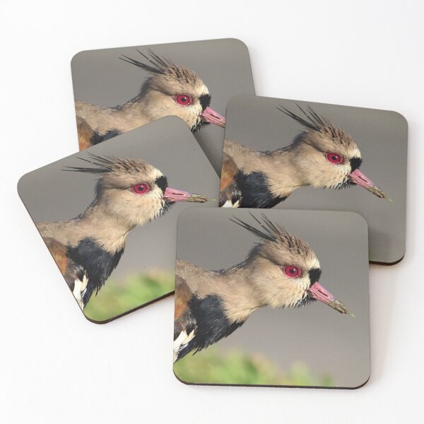 Item preview, Southern Lapwing designed and sold by Wes Goorachan.
