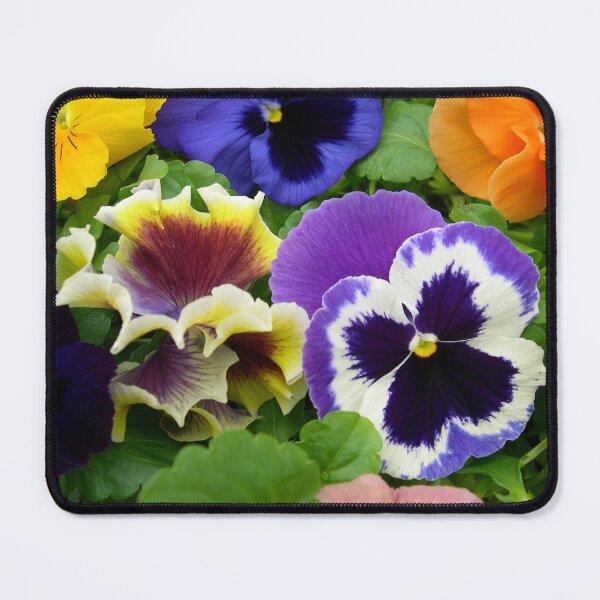 Item preview, Pansy Masterpiece Mix Pretty Flowers  designed and sold by cascadecuts.