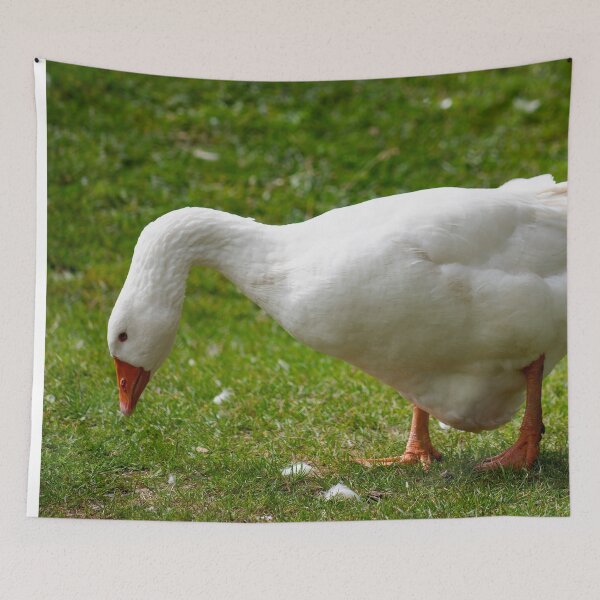 Item preview, Goose posters art prints t-shirts phone cases mugs etc designed and sold by craigewmcg123.