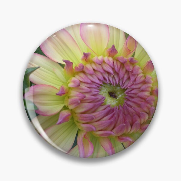 Item preview, Dahlia Gallery Pablo Pretty Flowers designed and sold by cascadecuts.