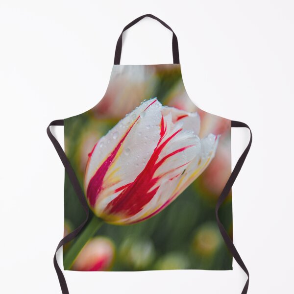 Item preview, Tulip designed and sold by Lrenz.