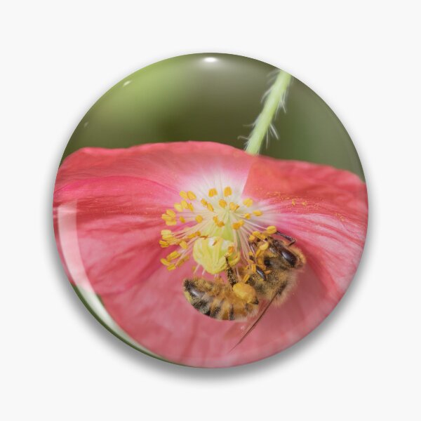 Item preview, The Honey Bee and Poppy 2019 designed and sold by Thomasyoung.
