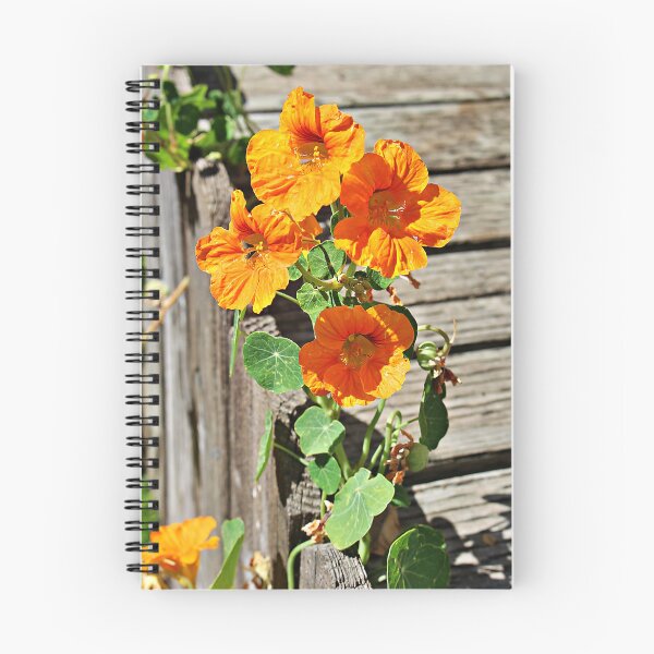 Item preview, My Nasturtiums Made a Perfect Bouquet designed and sold by Martha Sherman.