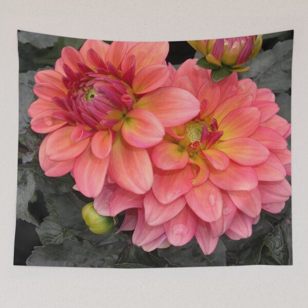 Item preview, Dahlia Gallery Matisse Pretty Flowers designed and sold by cascadecuts.