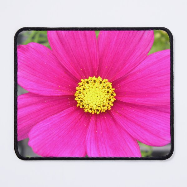 Item preview, Cosmos Sensation Carmine Pretty Flowers  designed and sold by cascadecuts.