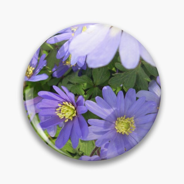 Item preview, Anemone Blanda Blue Pretty Flowers  designed and sold by cascadecuts.