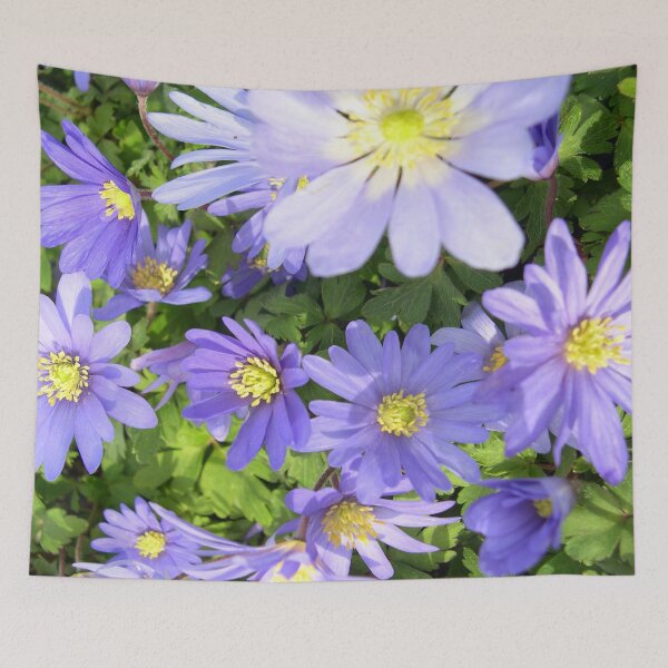 Item preview, Anemone Blanda Blue Pretty Flowers  designed and sold by cascadecuts.