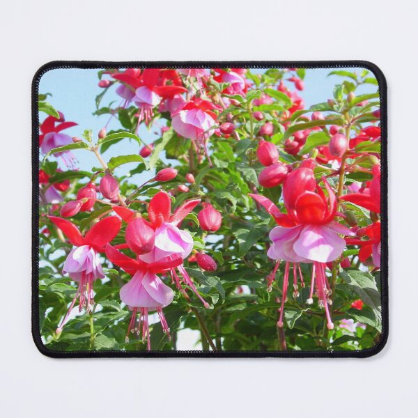 Item preview, Fuchsia Sunbeam Samba Pretty Flowers  designed and sold by cascadecuts.