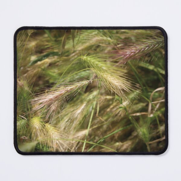 Item preview, Purple Needlegrass, California's State Grass designed and sold by Martha Sherman.