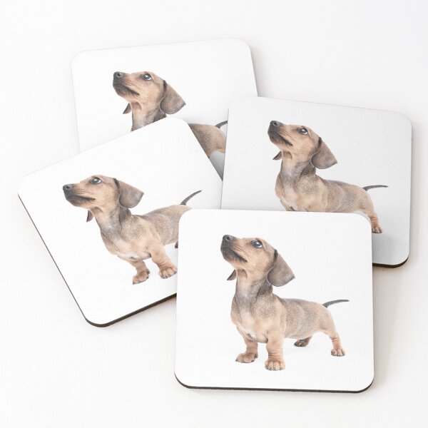 Item preview, Dachshund Standing Tall designed and sold by ernest123.