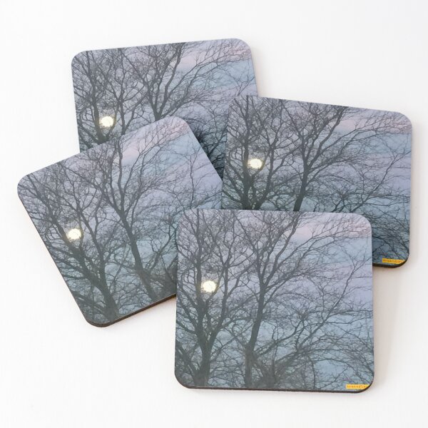 Item preview, Capture the Light. designed and sold by sunandlion17.