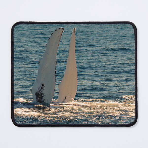Item preview, A Humpback Named Nile: Pectoral Fins designed and sold by Infinite-Moon.