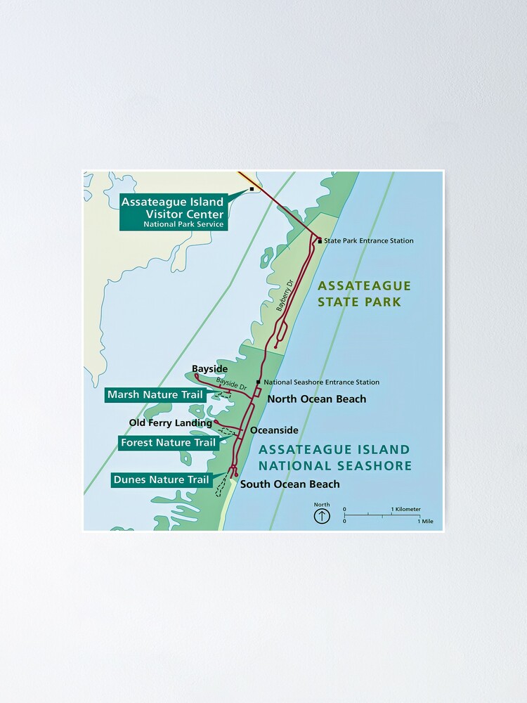 Outline Map Of Assateague Island Md Poster For Sale By Swartwout Redbubble 