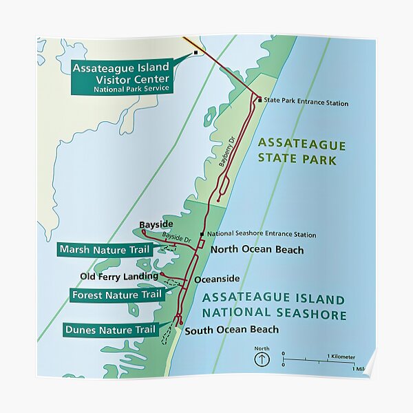 Outline Map Of Assateague Island Md Poster For Sale By Swartwout Redbubble 