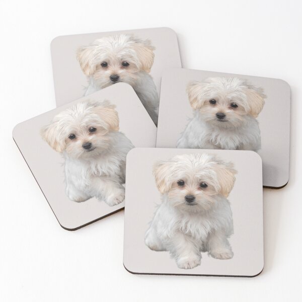 Item preview, Cute Maltese Pup designed and sold by RainbowSpinkle.