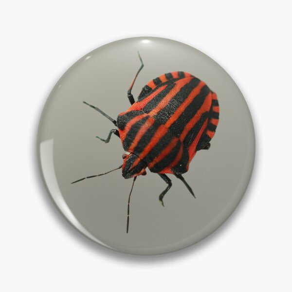 Item preview, Strip Bug designed and sold by RainbowSpinkle.