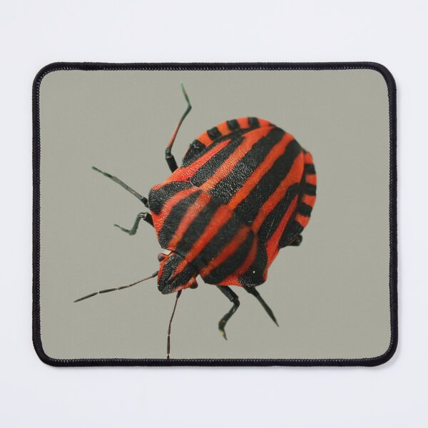 Item preview, Strip Bug designed and sold by RainbowSpinkle.