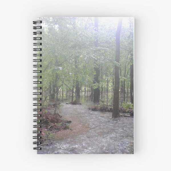 Item preview, Flooded Creek designed and sold by CorasDurrow.