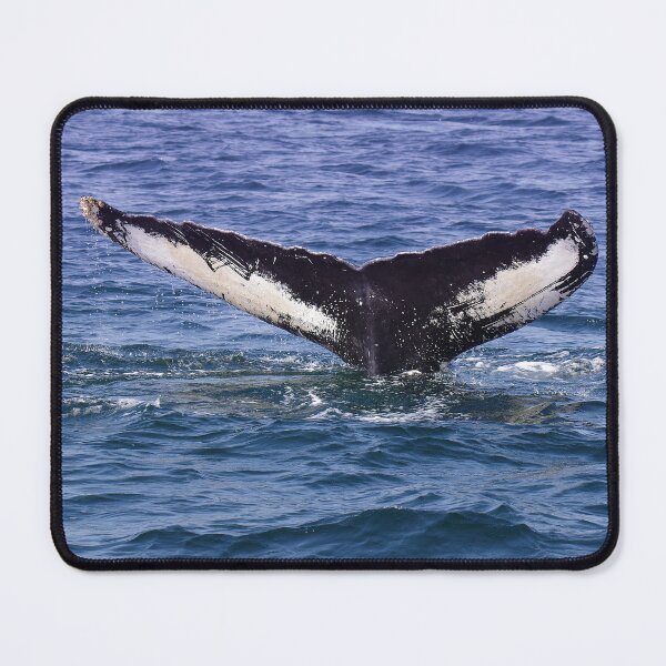 Item preview, A Humpback Named Orion: Fluking designed and sold by Infinite-Moon.