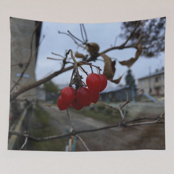 Item preview, Baya Roja designed and sold by Mikhail Zhirnov.