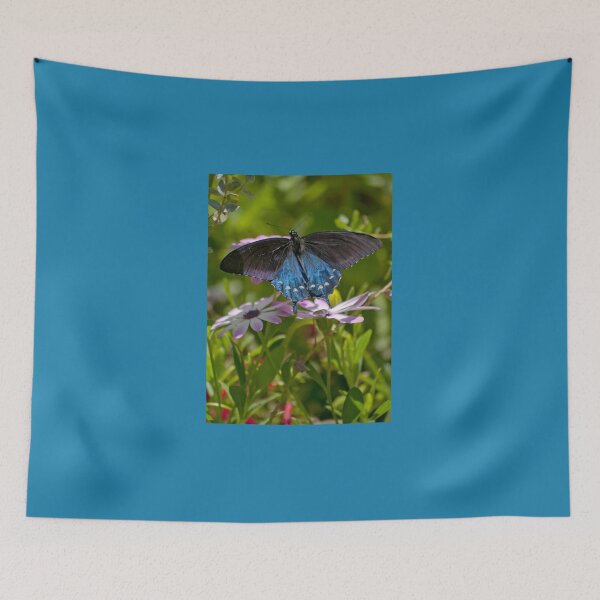 Item preview, Pipevine Swallowtail Butterfly designed and sold by K D Graves Photography.