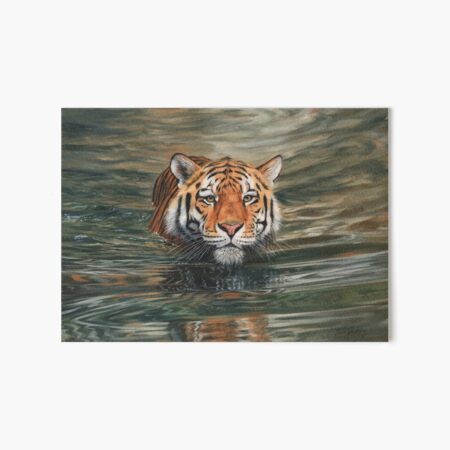 Item preview, Tiger Swimming designed and sold by David Stribbling.